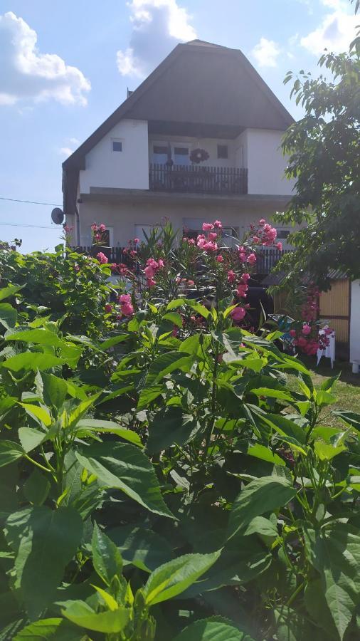Leander Apartman Balatonlelle Ngoại thất bức ảnh